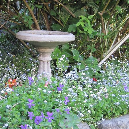 Brook House B&B & Cottages Kaikoura Esterno foto