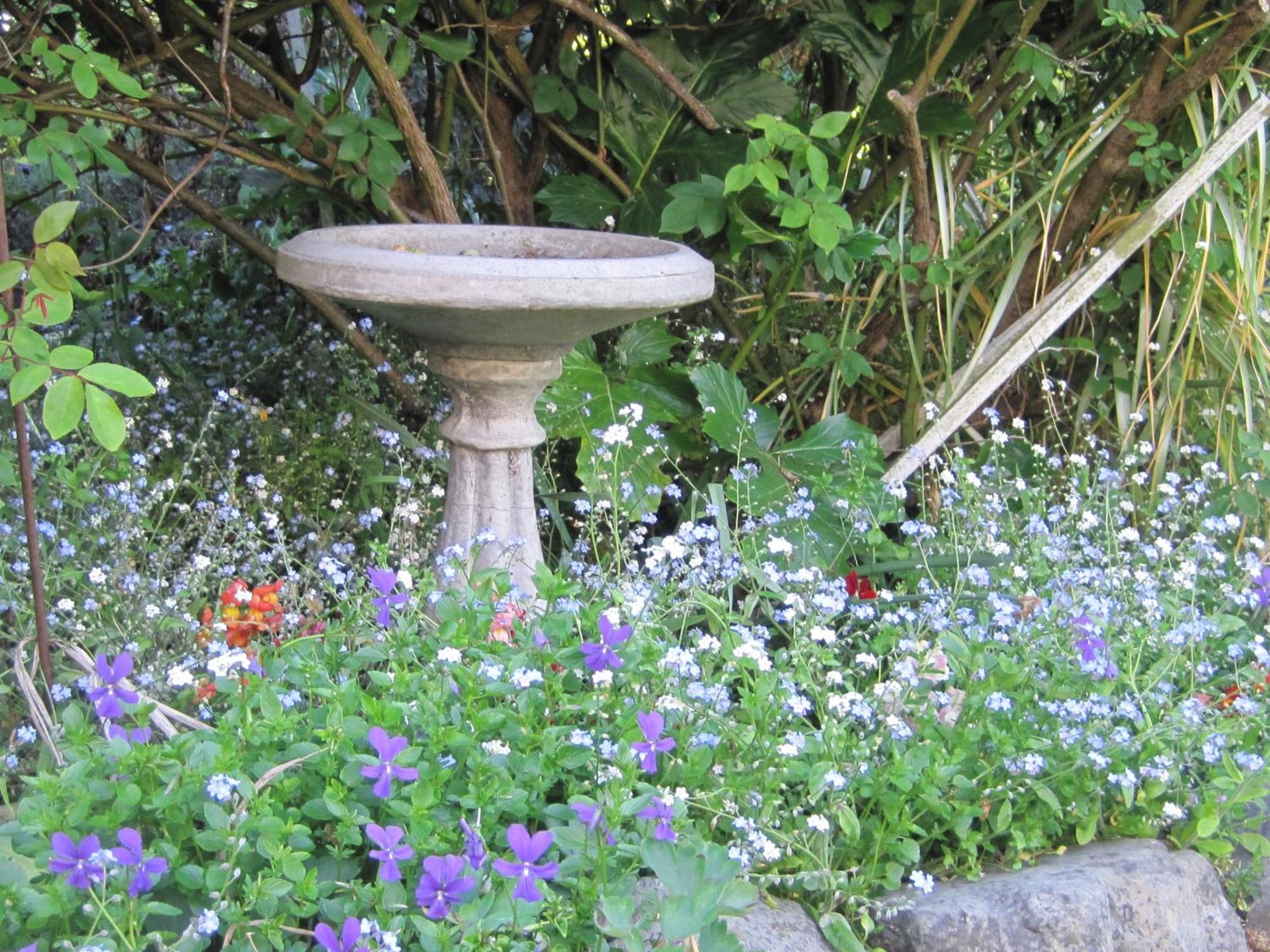 Brook House B&B & Cottages Kaikoura Esterno foto